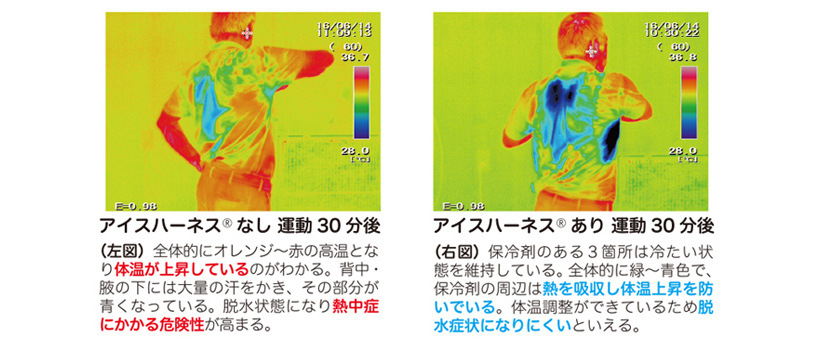 冷却 装備 アイス ベスト アイスハーネス